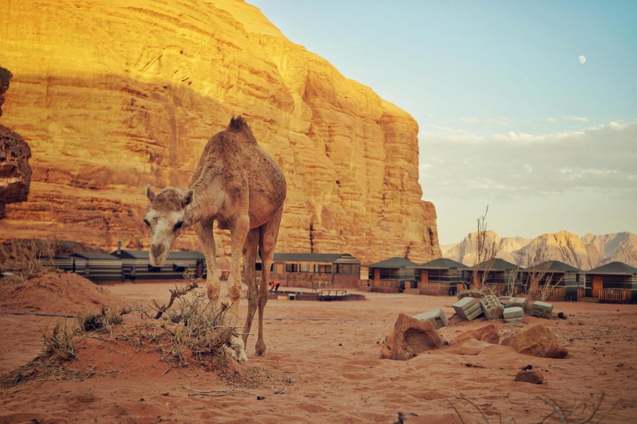 Hotel Salman Zwaidh Camp Wadi Rum Exterior foto